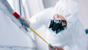 Best Real Estate Pest Inspections  in Flower Hill, NY